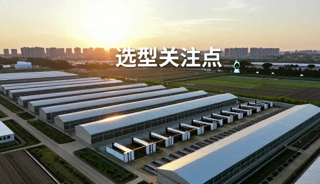 服务器域名选择对网络稳定性的影响与运维响应策略