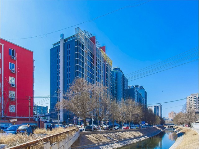 山西山农25小麦种子报价