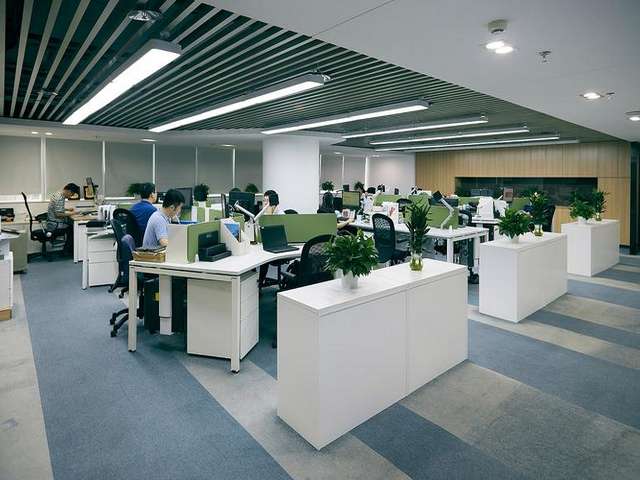 福建室内异味治理哪家好