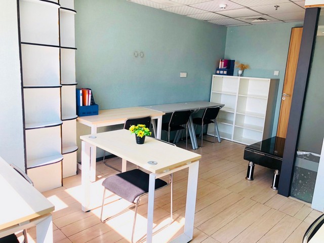 徐州鼠尾胶原报价