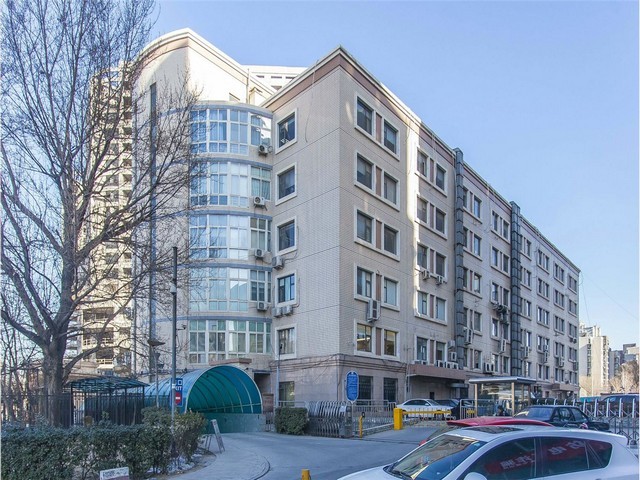 国际正规烫染护发品牌排行